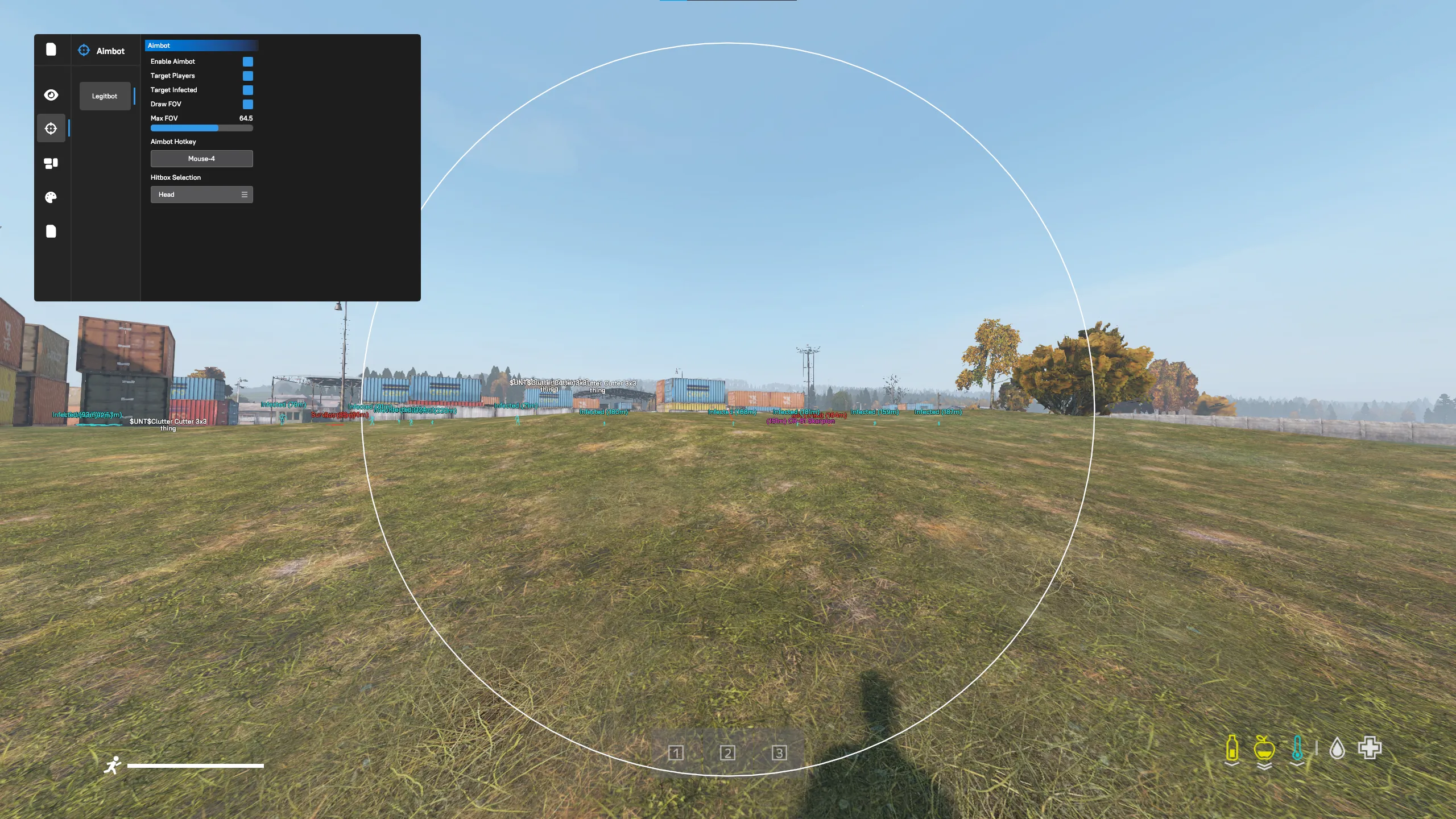 DayZ