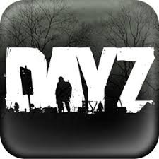 DayZ